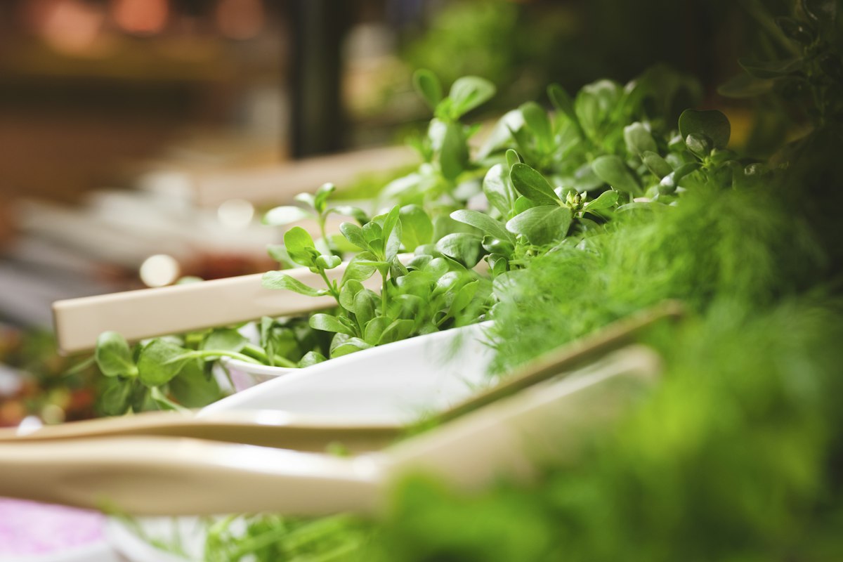 Frische Kräuter und Blattgrün in weißen Schalen mit Servierzangen an einer Salatbar als Symbol für vegetarische und vegane Menülinien in der Großküche